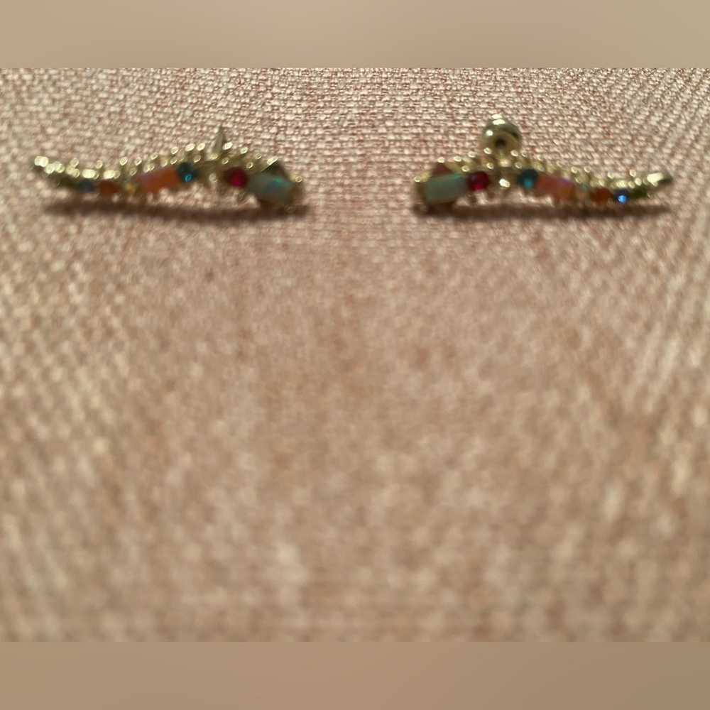 Kendra Scott multi color earrings